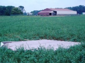 Olean Road Wind Damage 09-04-2011 Olean Road Wind Damage 09-04-2011