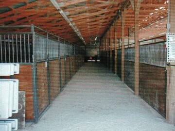 Horse Barn